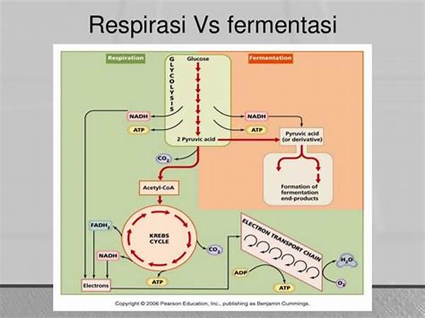 Metabolisme Mikroba