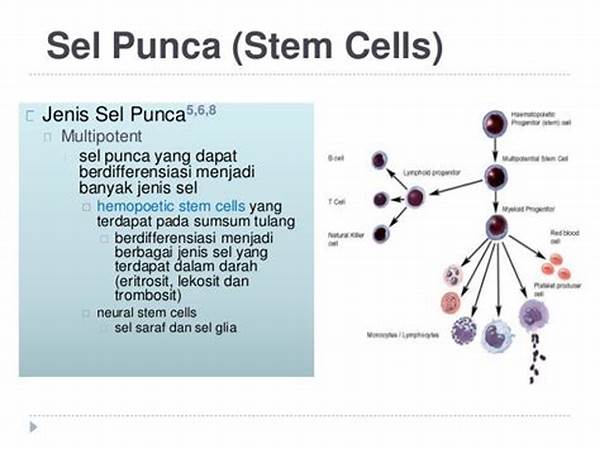Sel Punca