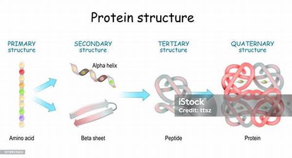 Tingkat Struktur Protein