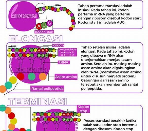 Translasi Protein