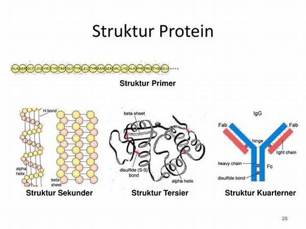Protein Sekunder