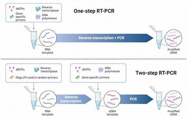 Rt-pcr