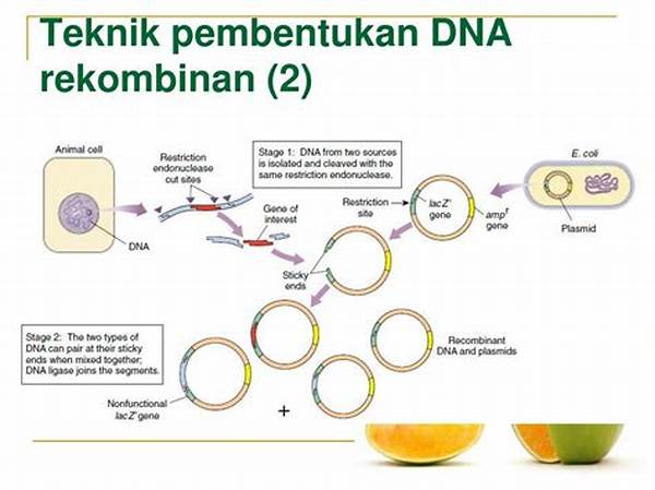 Teknologi Dna Rekombinan
