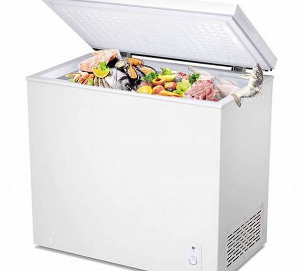 Freezer -80°c