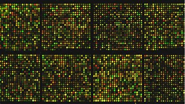 Microarray
