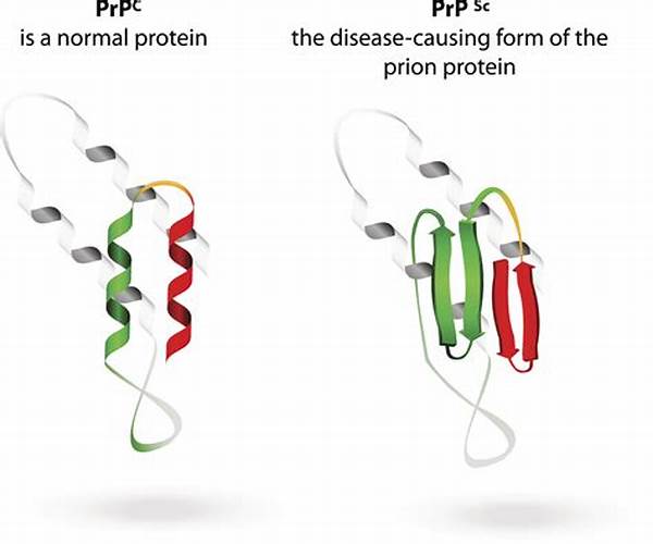 Misfolded Protein