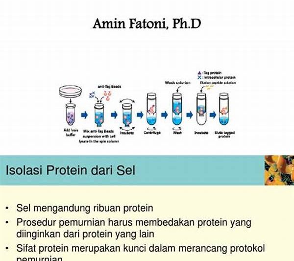 Pemurnian Protein