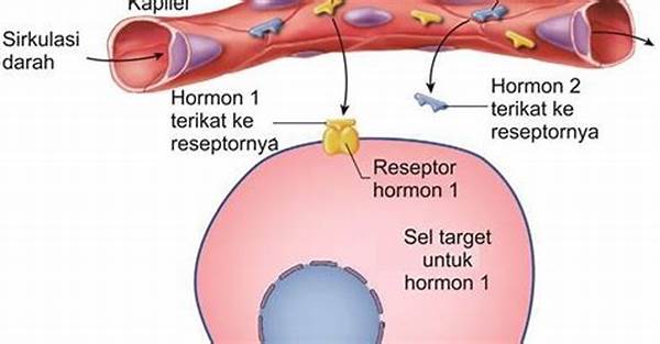 Reseptor Hormon