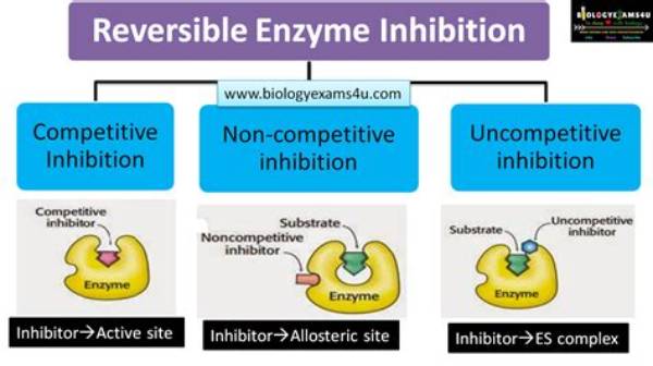 Inhibitor Enzim